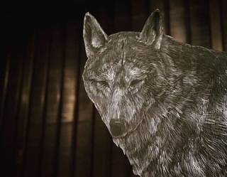 オオカミの家 / Wolf house