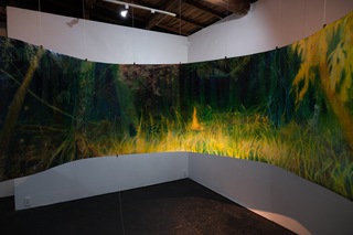 大絵巻"Forest" / Art Center Ongoing 展示