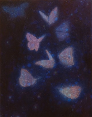 蝶 / butterfly